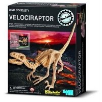 Wykopaliska Velociraptor - dino szkielet Wykopaliska Velociraptor - dino szkielet