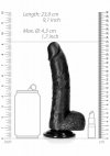 Curved Realistic Dildo  Balls  Suction Cup - 8/ 20,5 cm