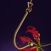 Upko Vaginal/Anal Hook - korek analno - waginalny (złoty)