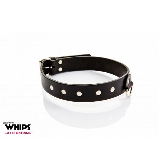 Whips Obroża męska classic (czarna)