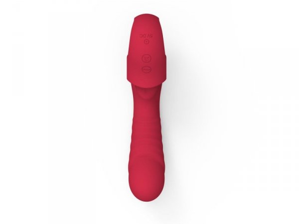 Wibrator - Rechargeable Licking Vibrator USB 10 Functions