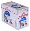 ROYAL CANIN FHN Indoor w sosie - mokra karma dla kota dorosłego - 12x85g