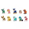 PAW Patrol PAW FIG All Paws Gift Pack GML
