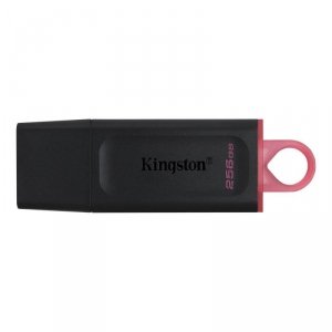 PAMIĘĆ USB USB3.2 256GB DTX/256GB KINGSTON