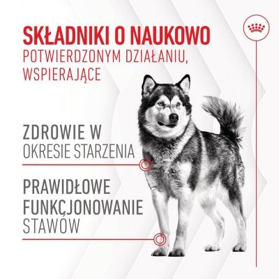 ROYAL CANIN Joint&Ageing Adult Dog Supplements 240g