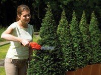 BLACK+DECKER NOŻYCE DO ŻYWOPŁOTU   3,6V GSL300 15cm