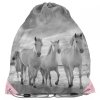 Tornister dla Dziecka do 1 klasy w Zestawie 5w1 Paso [PP21HO-525]