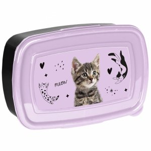 KOT ŚNIADANIÓWKA Z KOTKIEM  DLA DZIEWCZYNEK POJEMNIK ŚNIADANIOWY KOTKI PASO