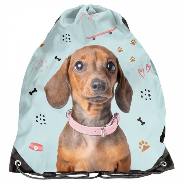 TORNISTER SZKOLNY Z PIESKIEM JAMNK DO 1 KLASY PODSTAWÓWKI ZESTAW 5el PIES