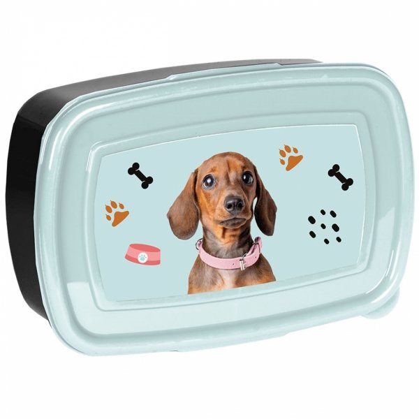 KOMPLET 2w1 BIDON ŚNIADANIÓWKA DLA UCZENNICY Z PIESKAMI DO SZKOŁY PIESEK