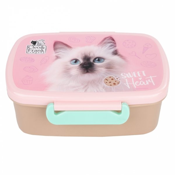 BIDON ŚNIADANIÓWKA KOTEK DERFORM DLA DZIEWCZYNEK ZESTAW 2w1 z KOTKIEM CATS