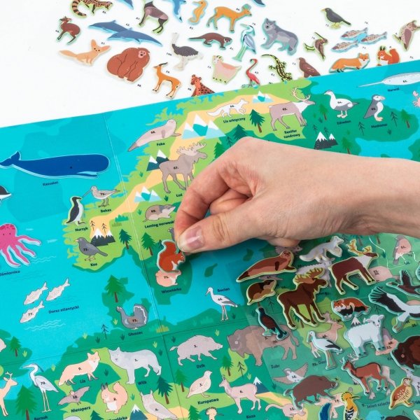 WYKLEJANKA ZWIERZĘTA EUROPY GRA GDZIE ONE ŻYJĄ KIDEA