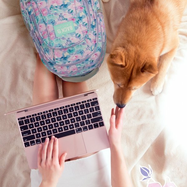 KWIATY BACKUP PLECAK MŁODZIEŻOWY KWIATKI SZKOLNY DZIEWCZĘCY KOMPLET 5w1