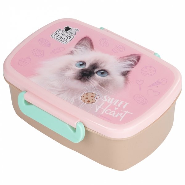 BIDON ŚNIADANIÓWKA KOTEK DERFORM DLA DZIEWCZYNEK ZESTAW 2w1 z KOTKIEM CATS