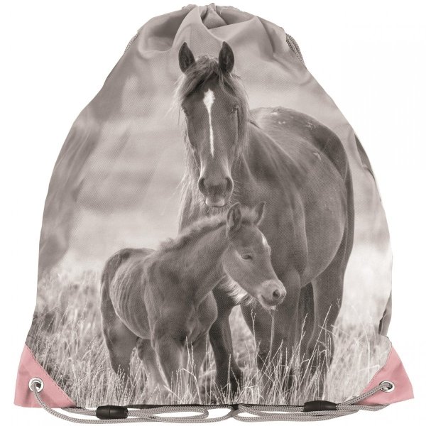 Szkolne Plecaki Dziewczęce Koń Konie Komplet Paso [PP20KO-260]