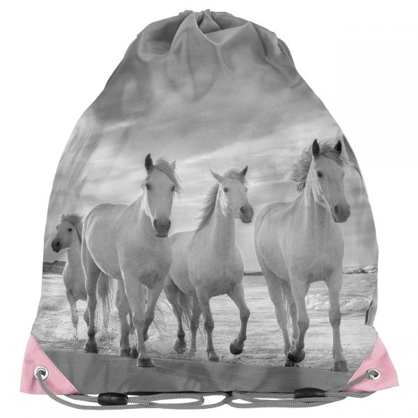 Szkolny Zestaw Plecak dla Dziewczyny Paso Konie [PP21HO-116]
