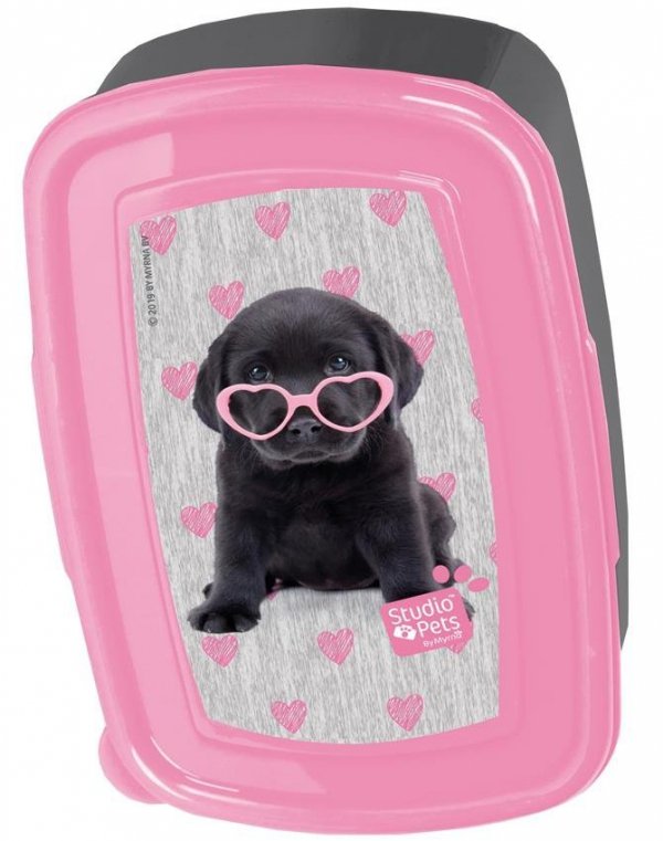 Tornister Szkolny dla Uczennicy Labrador Czarny Piesek [PTB-524]