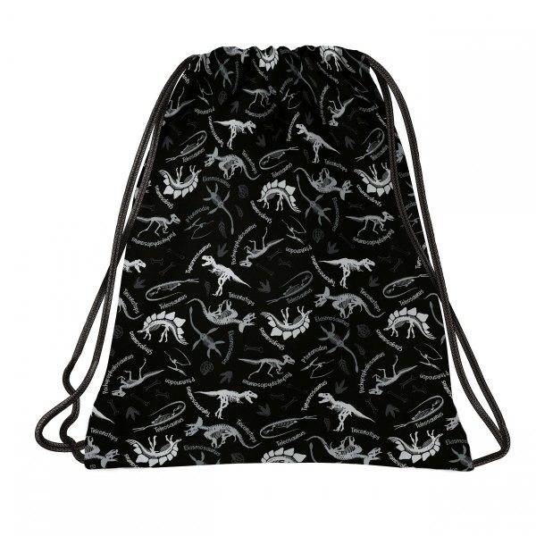 Modny Plecak Dinozaury Szkolny Backup dla Chłopaka Big Komplet [PLB4R114]