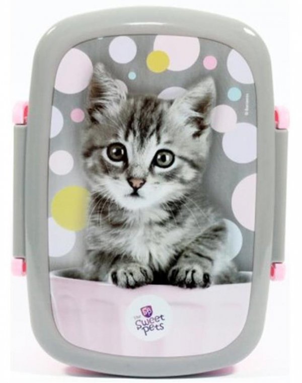 Plecak dla Dziewczynki z Kotem Kot Szkolny Zestaw [RHV-090]