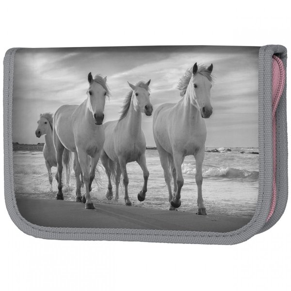 Konie Tornister Dziecięcy do 1 klasy w Zestawie 6w1 Paso [PP21HO-525]