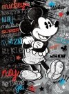 PROMO Karnet XL Disney Verte mix cena za 1 szt