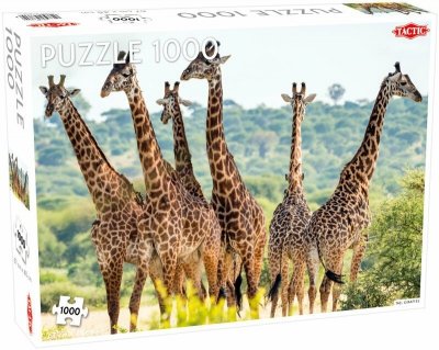 PROMO Puzzle 1000el Animals: Tall Giraffes TACTIC
