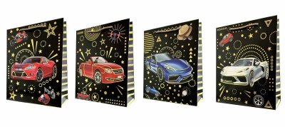 Torebka ozdobna prezentowa 4wz 18x23x10cm JP 621C Sportowe auta mix cena za 1 szt