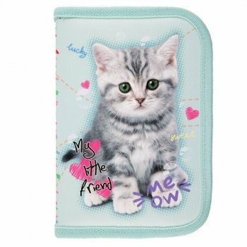 PROMO Piórnik dwuklapkowy bez wyposażenia ST.RIGHT PC3 My Little Friend mint Kitty