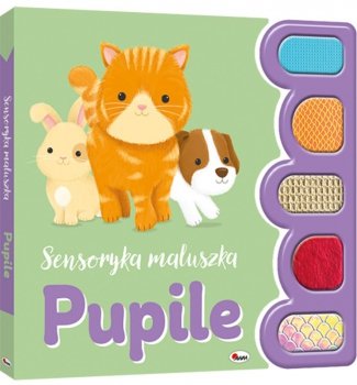 Książeczka Sensoryka maluszka. Pupile