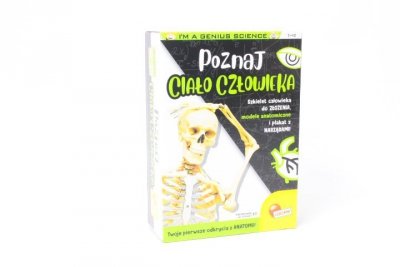 DANTE Lisciani I_m a genius Poznaj ciało człow. 100224