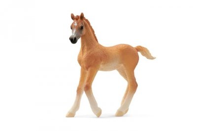 SCHLEICH SLH źrebię czystej krwi arabskiej 13984 53690
