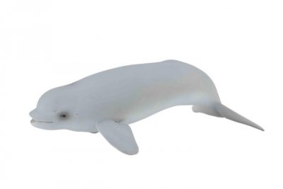 COLLECTA - DANTE Collecta młody wieloryb beluga 88617 86176