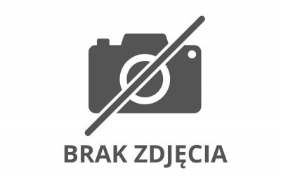 ROZNE CIEKAWE Klocki duże MIN 10804