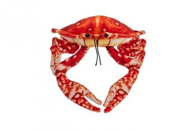 BEPPE Krab pomarańczowy 26cm 14172 23902