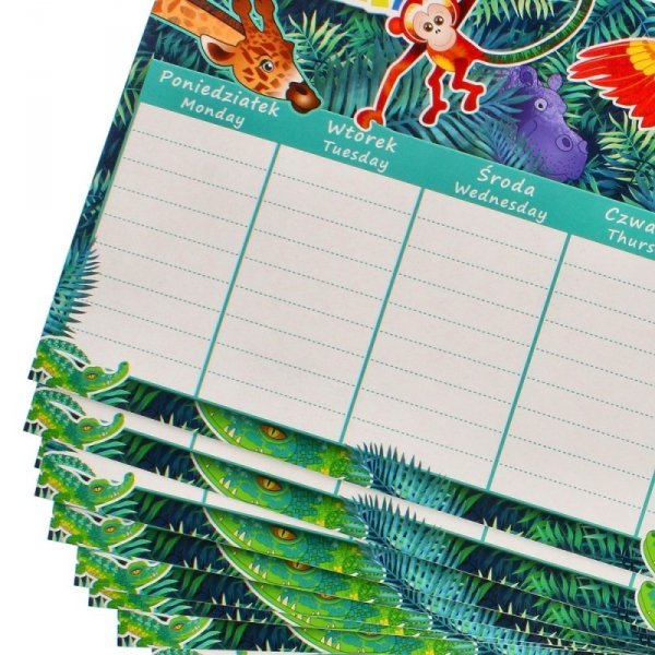 Plan lekcji Safari STARPAK