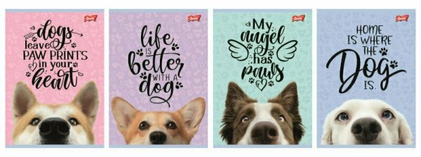 Zeszyt A5 16k linia podwójna dwukolorowa laminowany Dog p15, mix cena za 1 szt