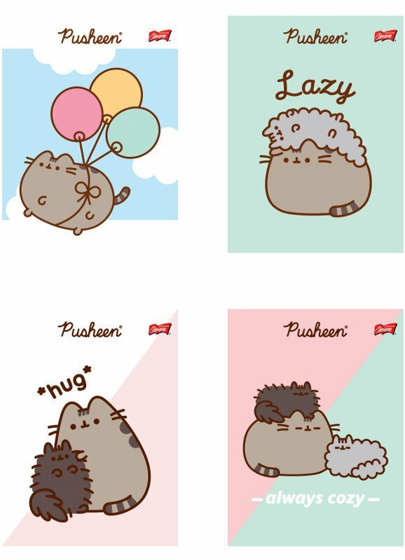 Zeszyt A5 32k linia podwójna dwukolorowa laminowany Pusheen p15 mix cena za 1 szt