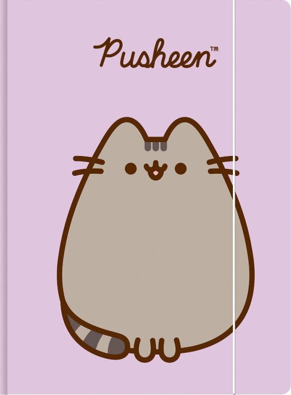 Teczka z gumką A4 Pusheen