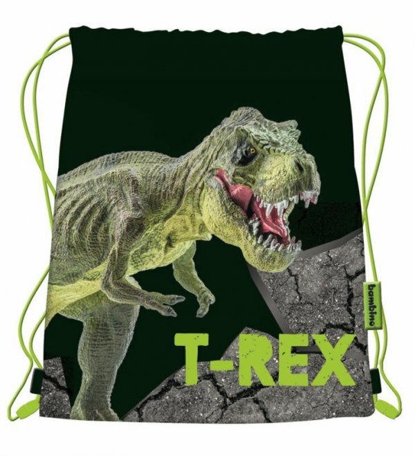 PROMO Worek na obuwie T-Rex