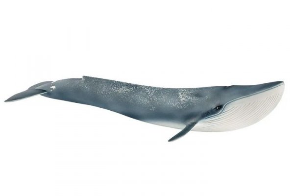 SCHLEICH SLH płetwal błękitny 14806 20742