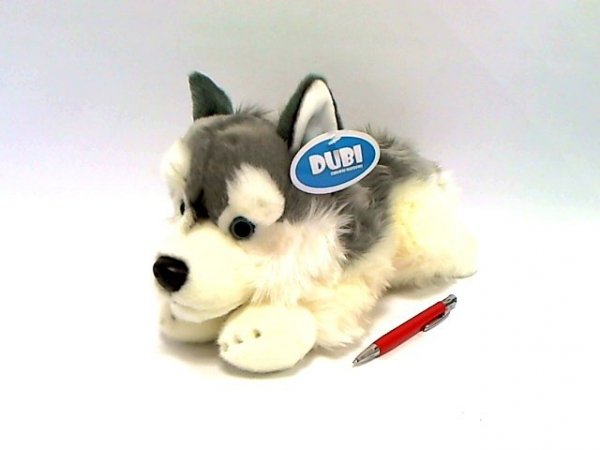 DUBI PLUSZ Pies husky 30cm 02882