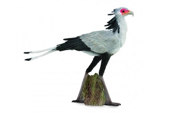 COLLECTA - DANTE Collecta ptak - sekretarz 88796 87968
