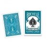 BICYCLE KARTY TURQUOISE BACK 12+
