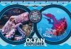 CLEMENTONI 180 EL. NATIONAL GEOGRAPHIC KIDS OCEAN EXPEDITION PUZZLE 7+