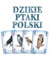 TREFL KARTY 1x55 DZIKIE PTAKI POLSKI 3+