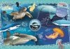 CLEMENTONI 104 EL. NATIONAL GEOGRAPHIC KIDS OCEAN EXPLORER PUZZLE 6+