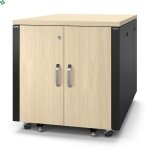 AR4012A Wyciszona meblowa szafa serwerowa - NetShelter Soundproof 12U, 783 x 750 x 1134 mm