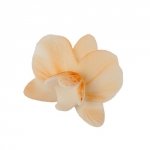 Cukrowy CYMBIDIUM kwiat z masy cukrowej - ECRU 1szt
