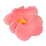 Miltonia kwiat cukrowy na tort 5cm różowy 1szt