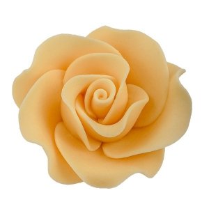 Róża Max 1 szt. ecru